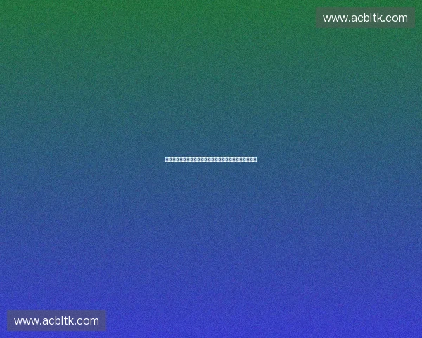 基于预算分配策略优化企业资源配置与效益提升的实践探索